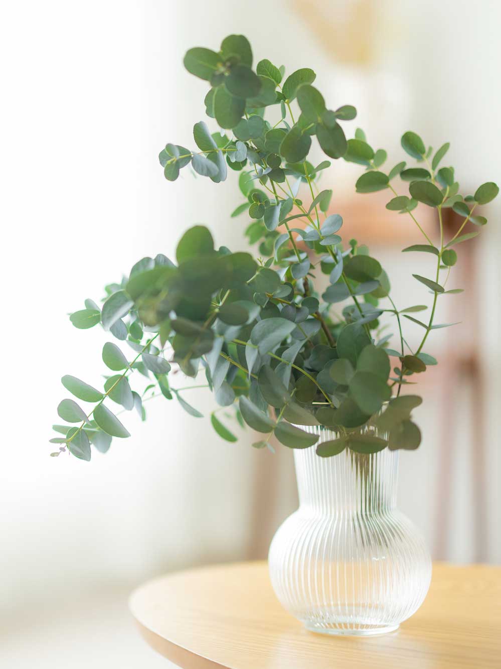 植物のある室内風景